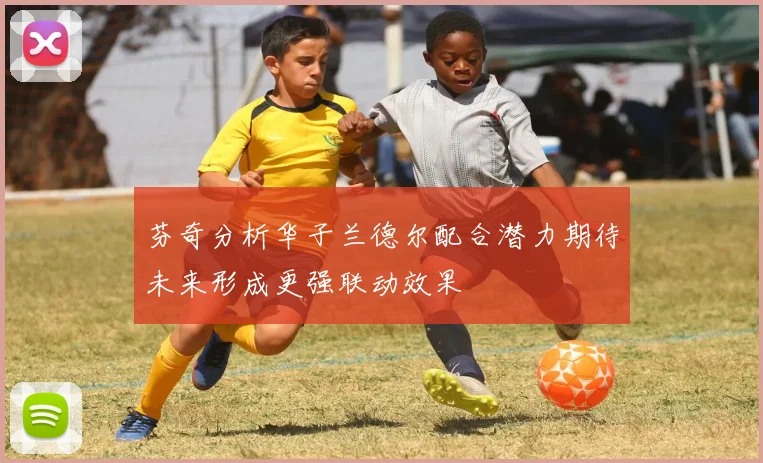 芬奇分析华子兰德尔配合潜力期待未来形成更强联动效果
