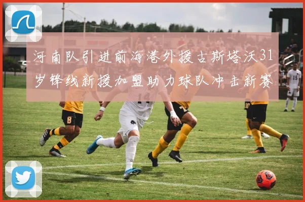 河南队引进前海港外援古斯塔沃31岁锋线新援加盟助力球队冲击新赛季