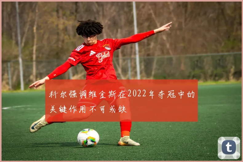 科尔强调维金斯在2022年夺冠中的关键作用不可或缺